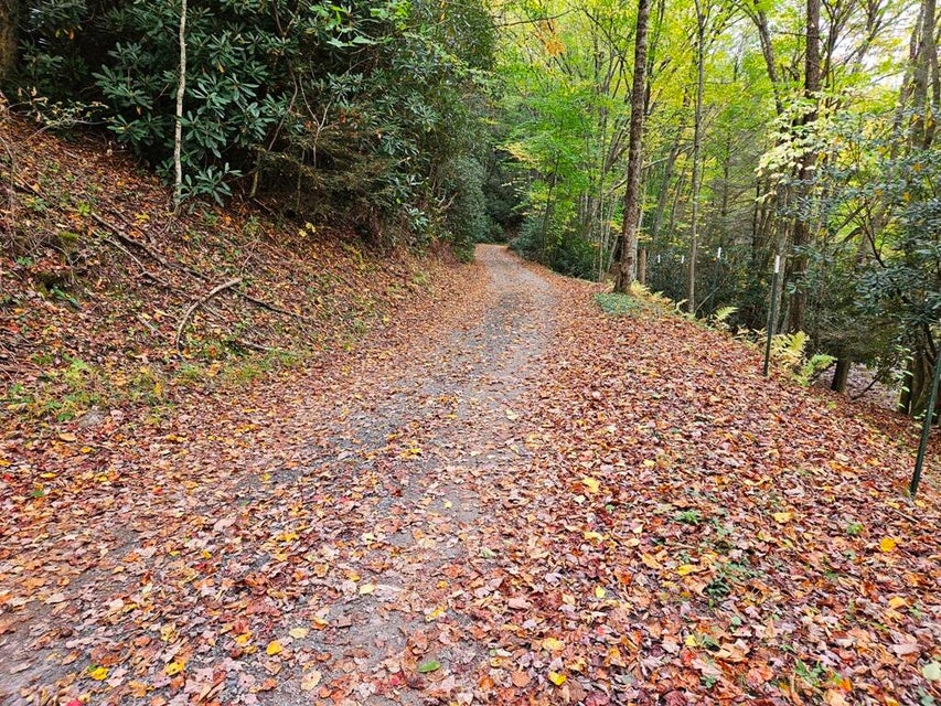 Photo #4: 14b Lot Pennington Branch Road