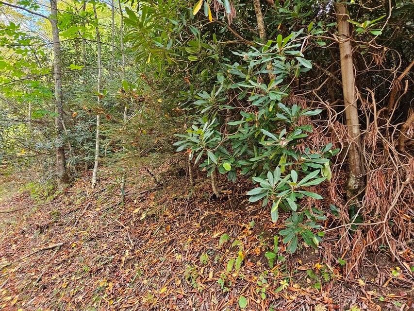 Photo #6: 14b Lot Pennington Branch Road