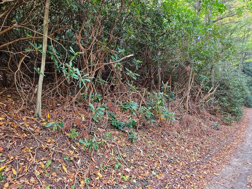 Photo #7: 14b Lot Pennington Branch Road