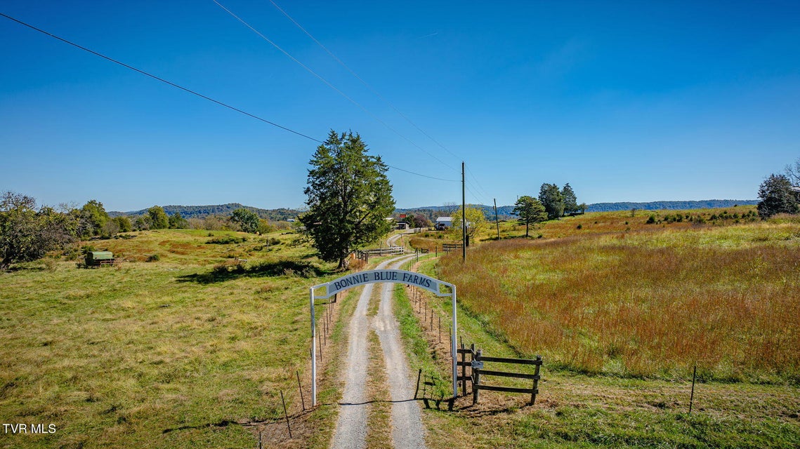 Photo #79: 1746 Mckinney Chapel Road