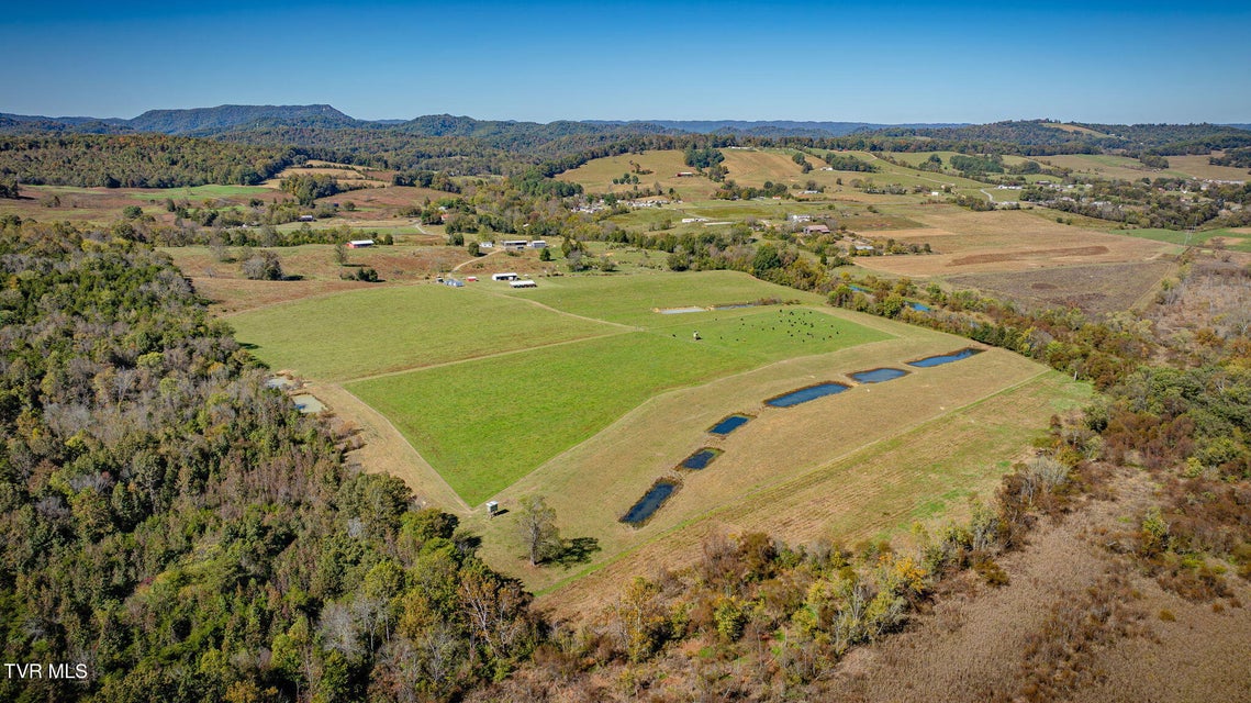 Photo #81: 1746 Mckinney Chapel Road