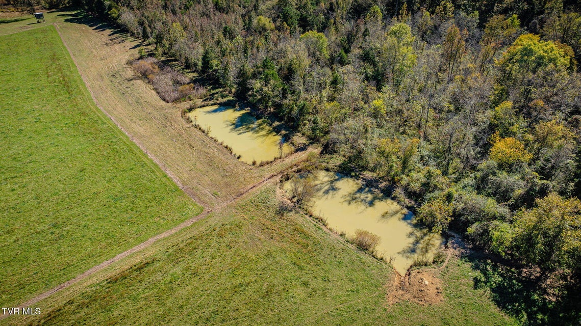 Photo #93: 1746 Mckinney Chapel Road