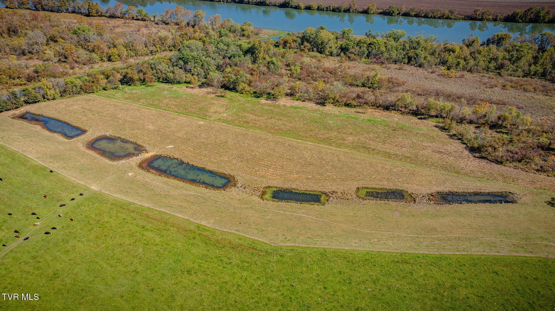 Photo #94: 1746 Mckinney Chapel Road