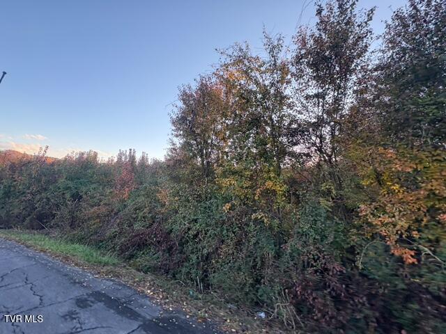 Photo #5: 1129 Highway 126 