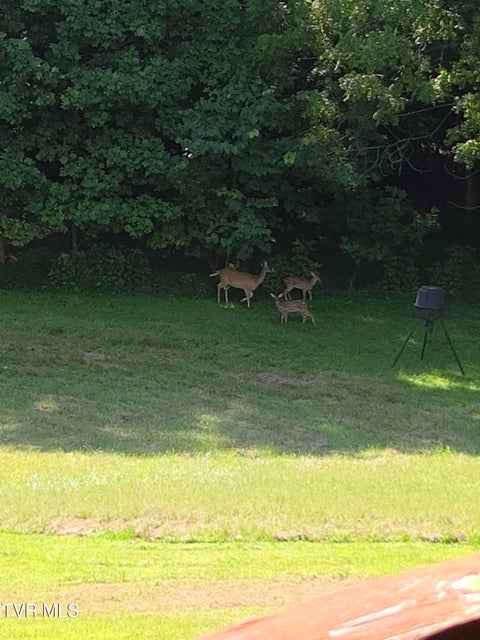 Photo #53: 255 Bank Drive