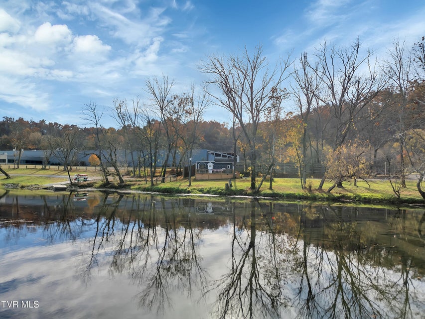 Photo #14: 918 Riverview Drive