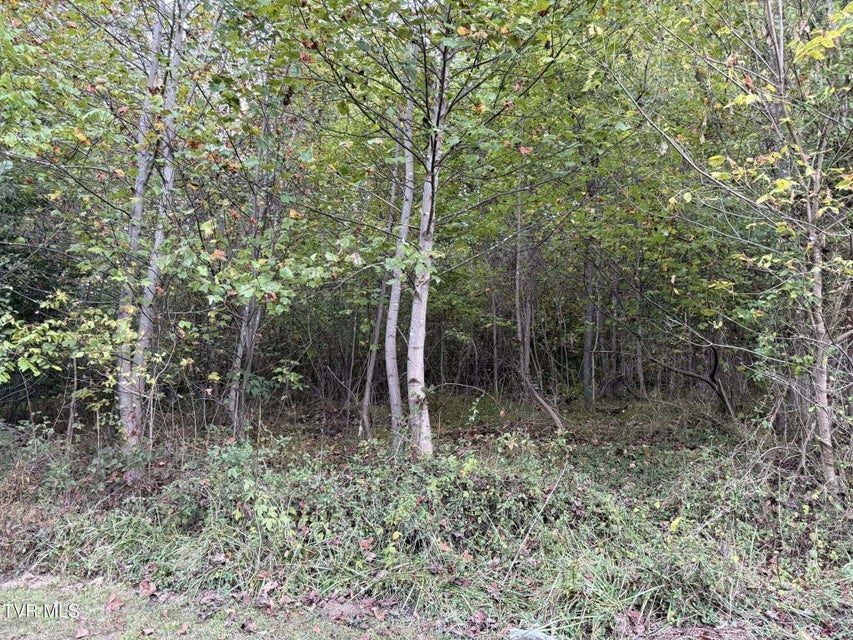 Photo #14: 1324 Hillside Drive Drive