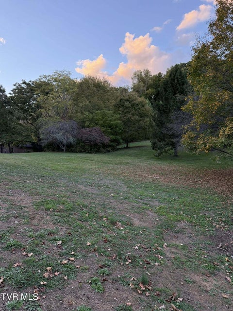 Photo #11: 1324 Hillside Drive Drive