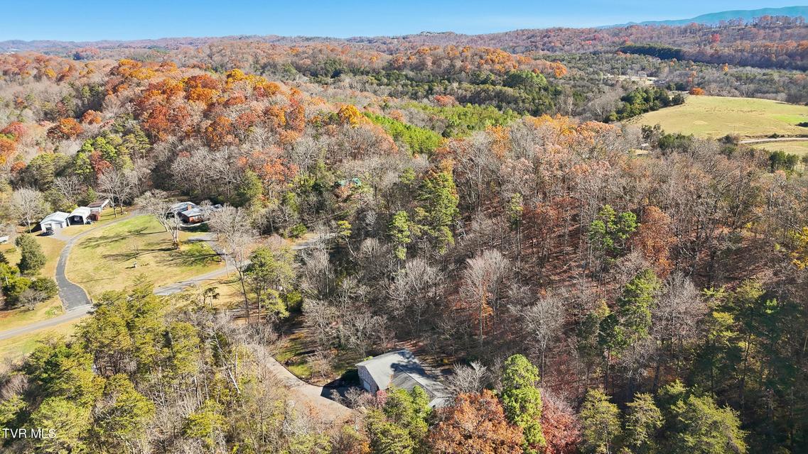 Photo #37: 947 French Mill Road