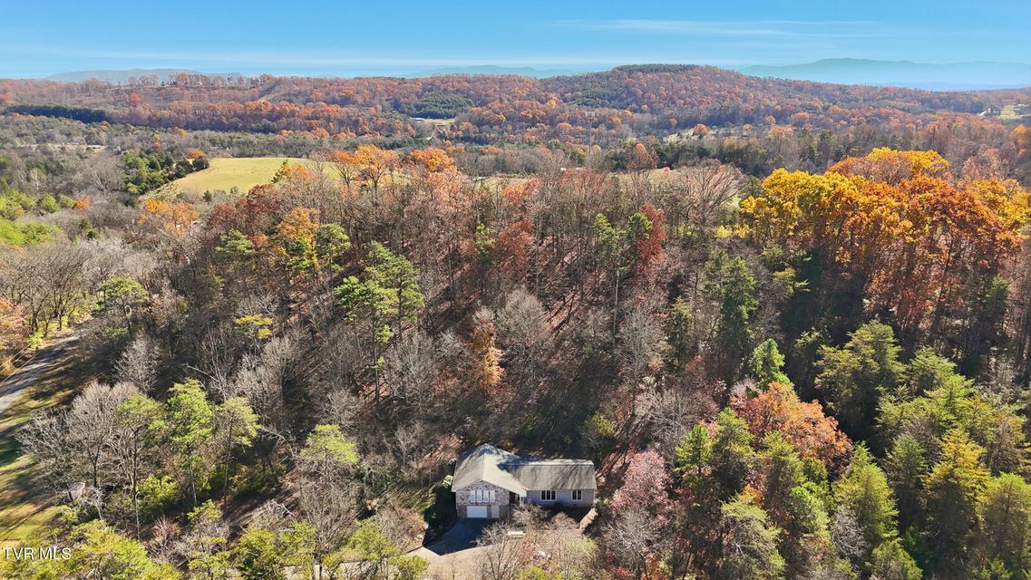 Photo #39: 947 French Mill Road