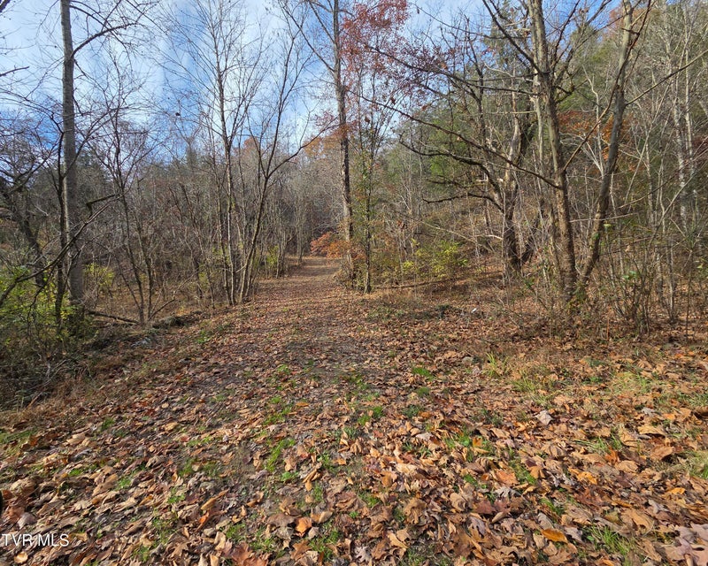 Photo #5: 355 Austin Springs Road