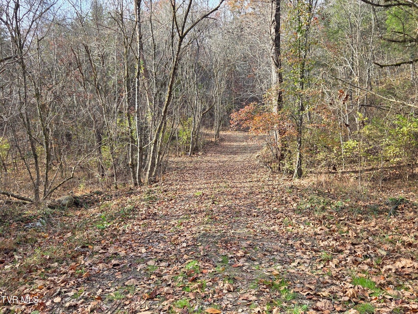 Photo #6: 355 Austin Springs Road