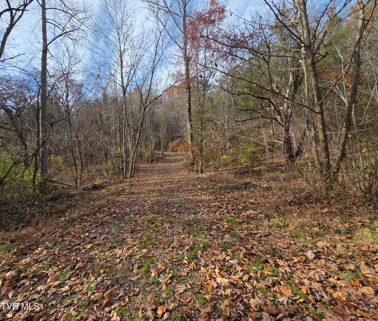 Photo #7: 355 Austin Springs Road