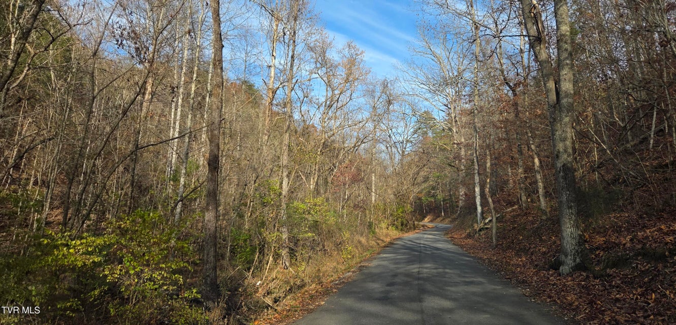 Photo #8: 355 Austin Springs Road