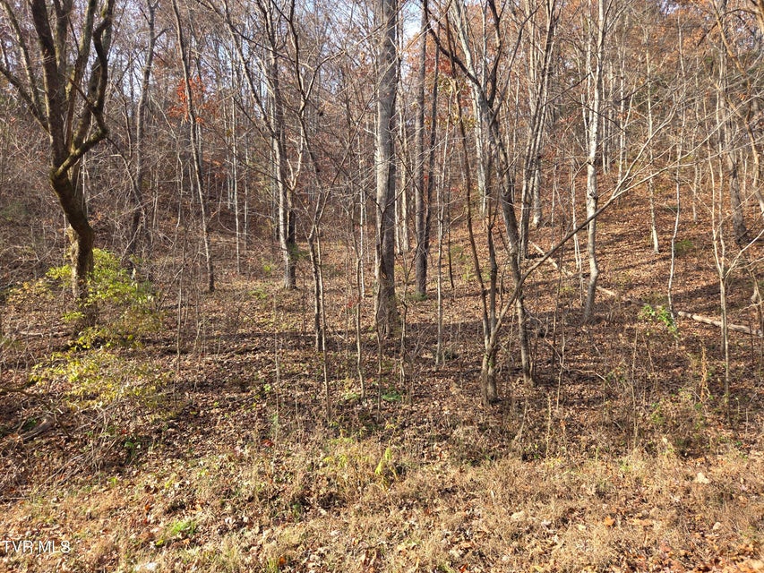 Photo #9: 355 Austin Springs Road