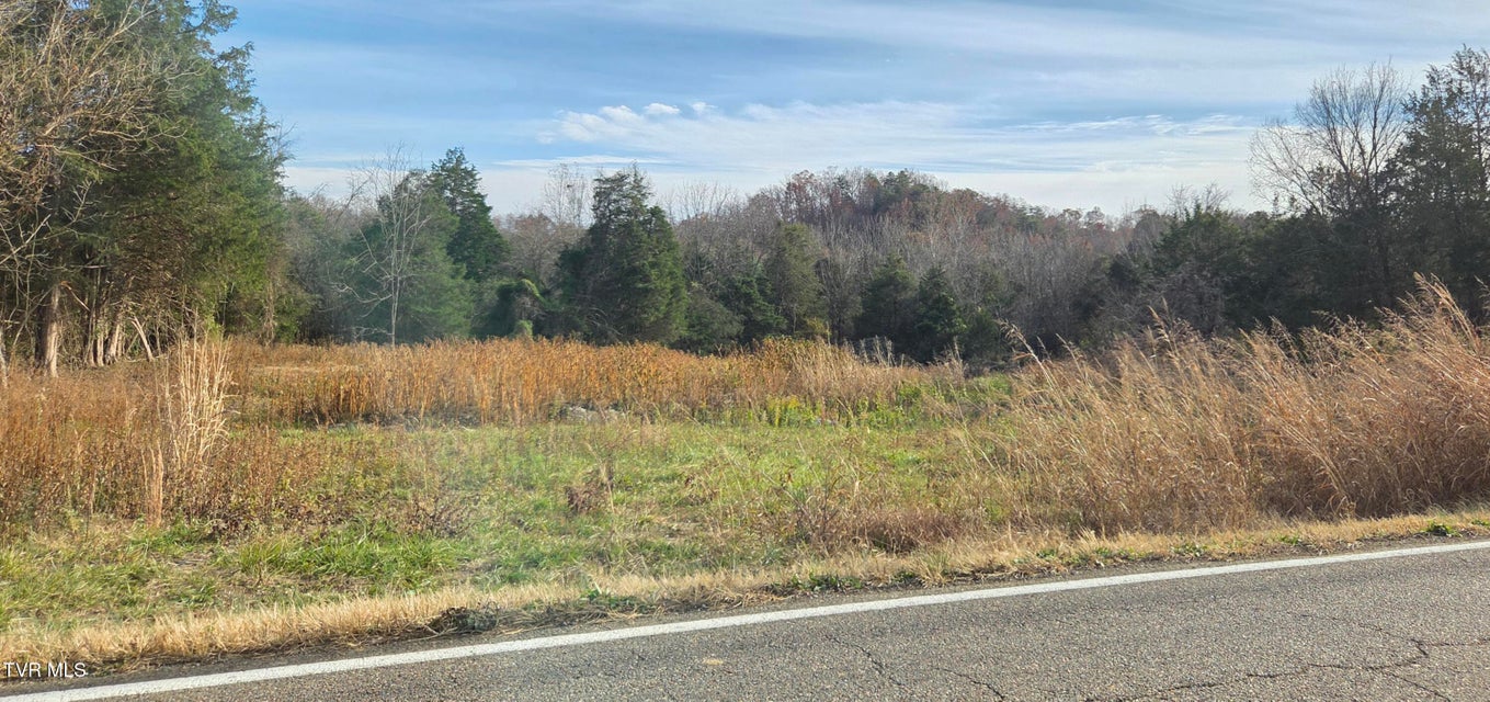 Photo #10: 355 Austin Springs Road