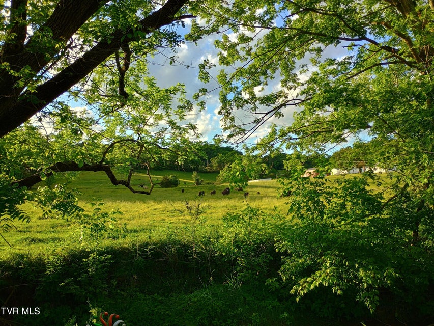 Photo #39: 4420 Cherokee Road