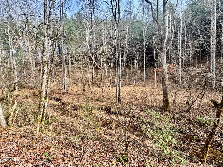 Photo #6: Tbd Yellow Branch Rd 