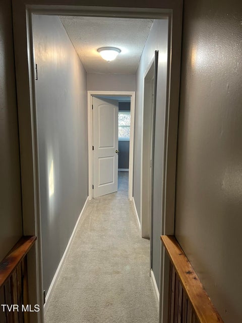 Photo #48: 229 Clint Street