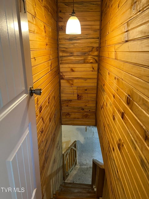 Photo #49: 229 Clint Street