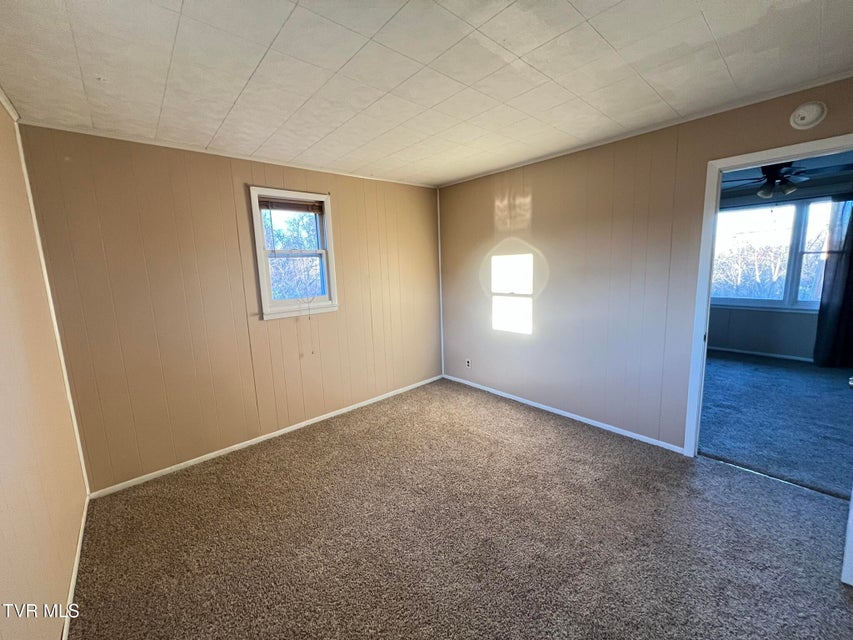 Photo #54: 229 Clint Street