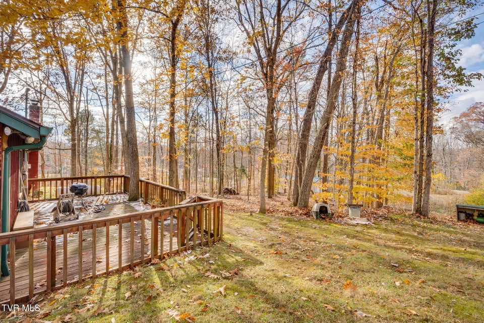 Photo #35: 321 Pitkin Drive