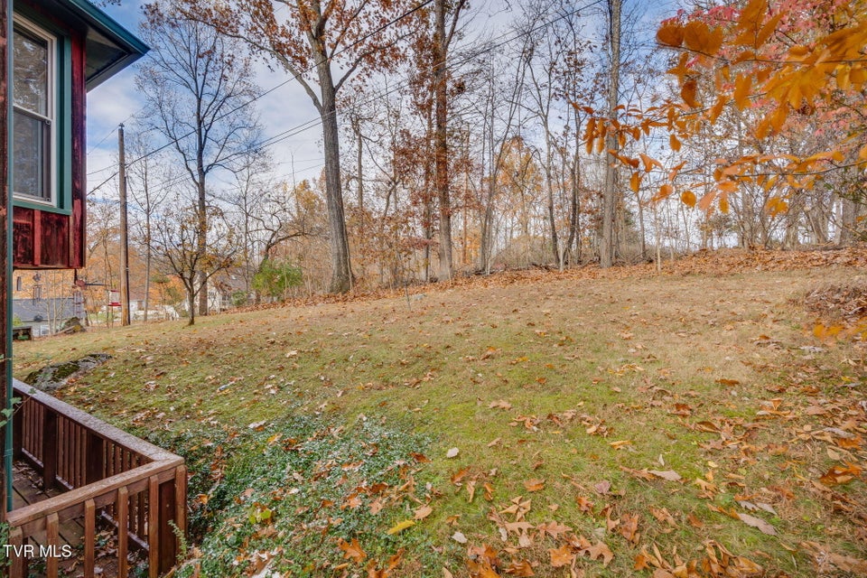 Photo #31: 321 Pitkin Drive