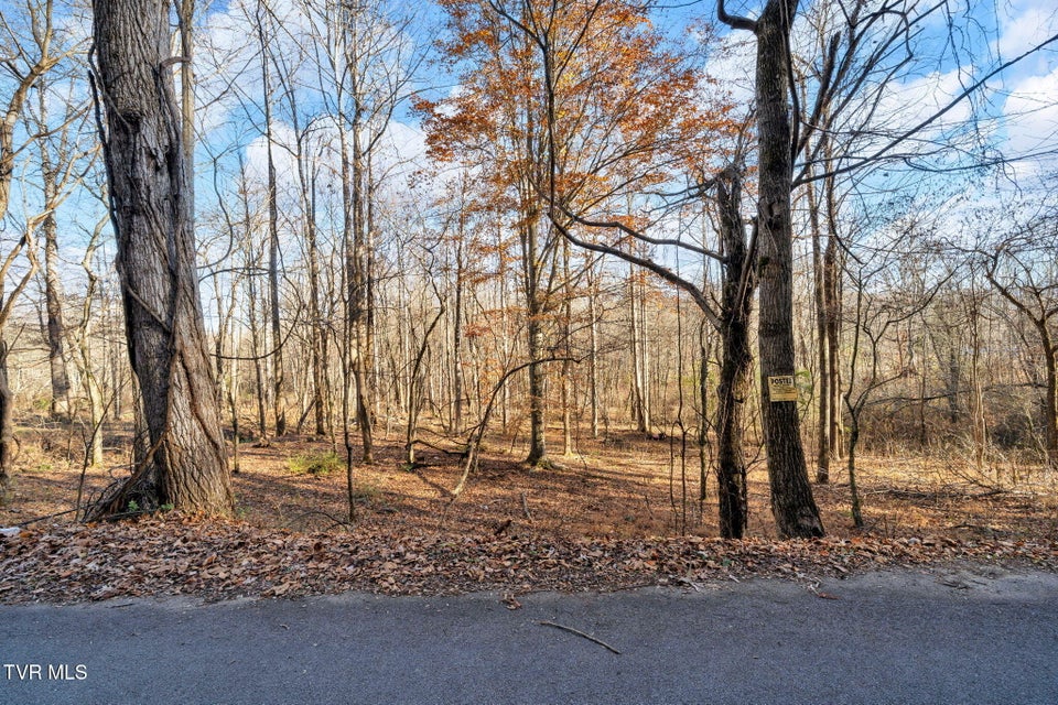 Photo #7: Tbd Mcinturff Springs Road