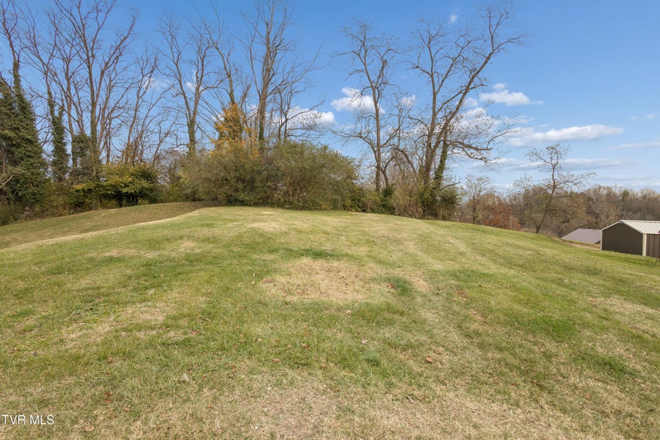 Photo #19: 204 Elizabeth Street