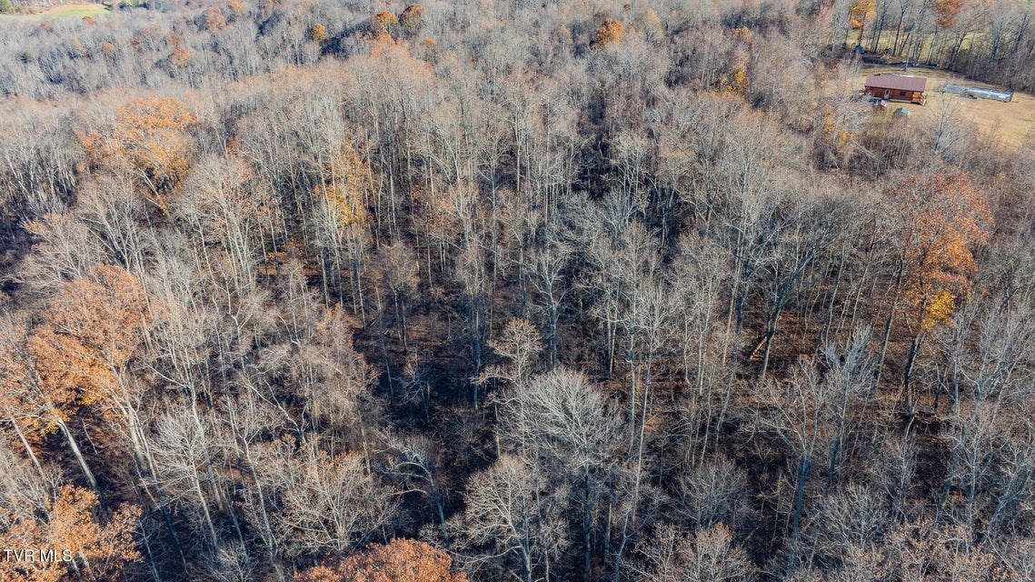 Photo #37: 642 Copper Ridge Road