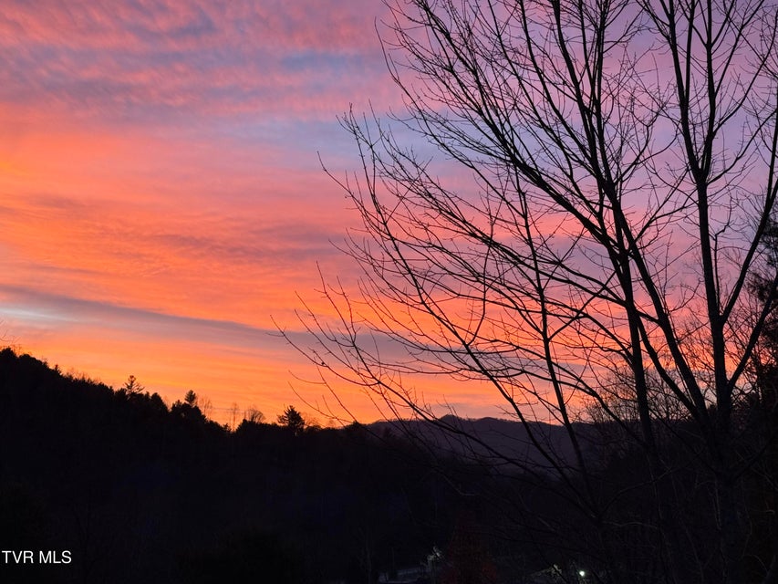 Photo #73: 5191 Highway 421 