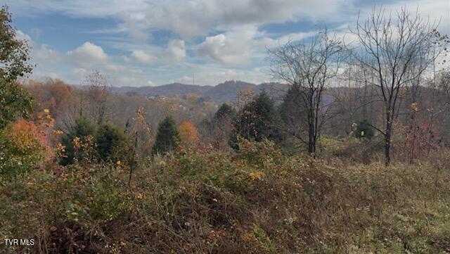 Photo #2: 1030 Paperville Road