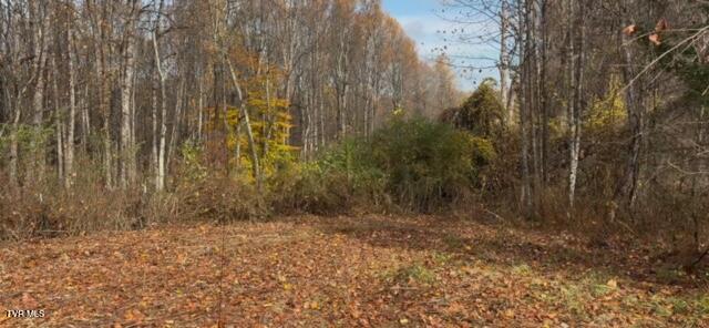 Photo #10: 1030 Paperville Road