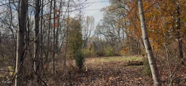 Photo #7: 1030 Paperville Road