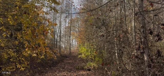 Photo #6: 1030 Paperville Road