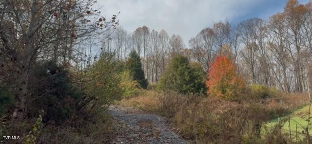 Photo #4: 1030 Paperville Road