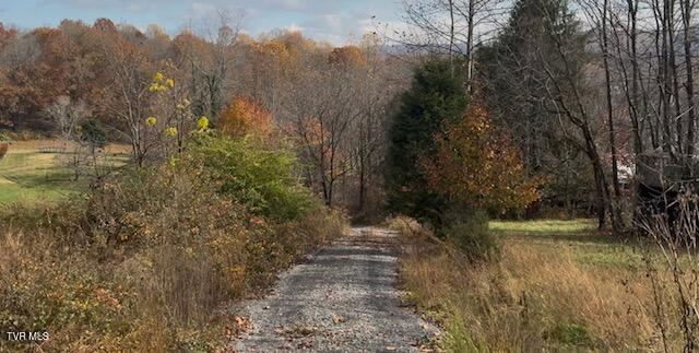 Photo #5: 1030 Paperville Road