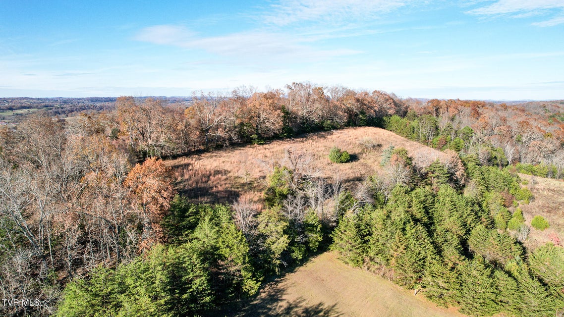 Photo #54: 285 Greystone Road