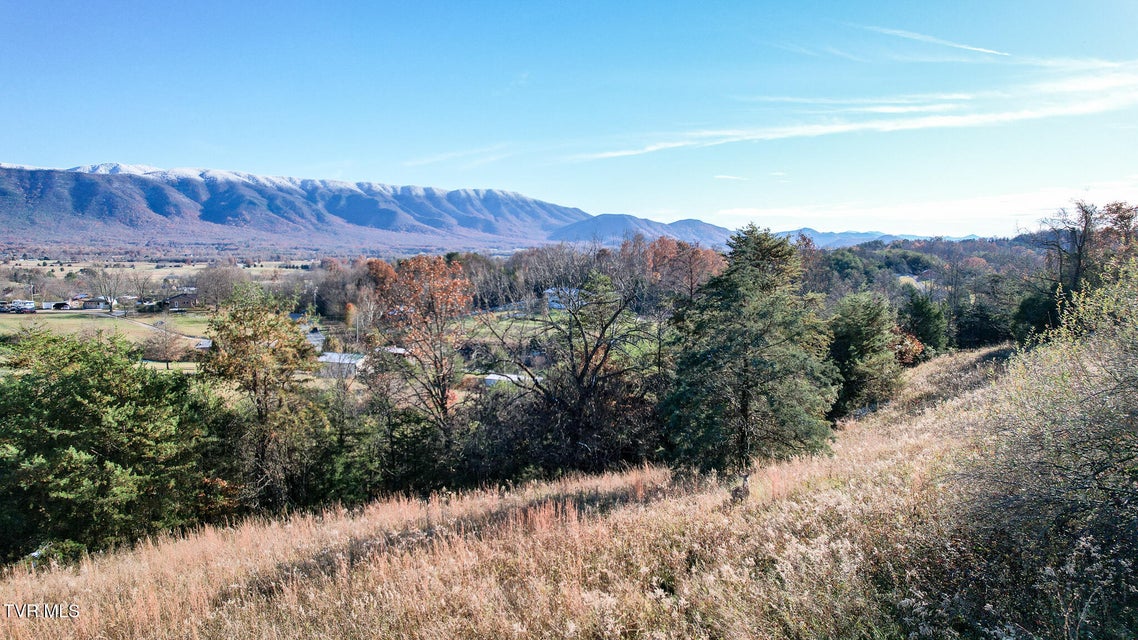 Photo #55: 285 Greystone Road