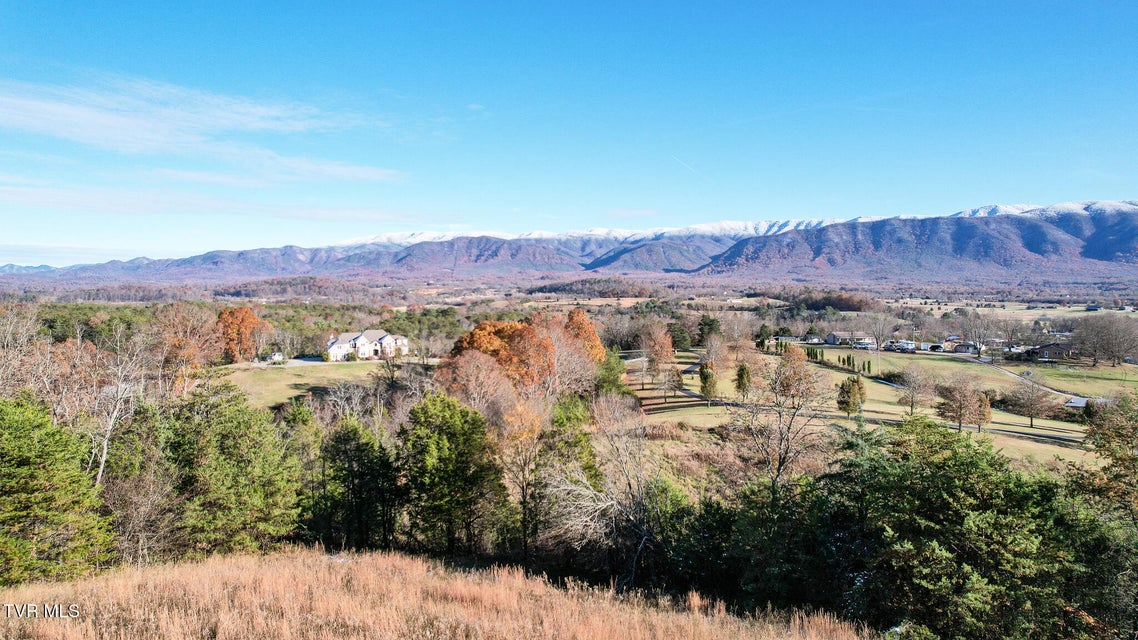 Photo #56: 285 Greystone Road