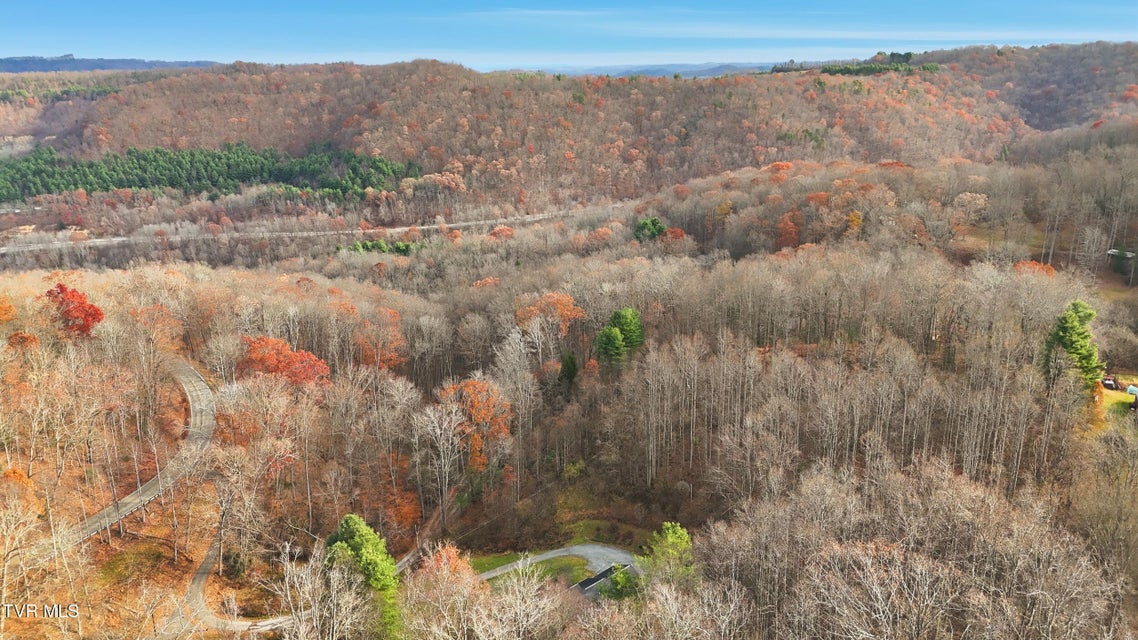 Photo #47: 8412 Courtland Road