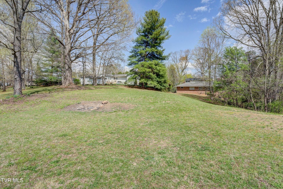 Photo #49: 616 Hammond Avenue