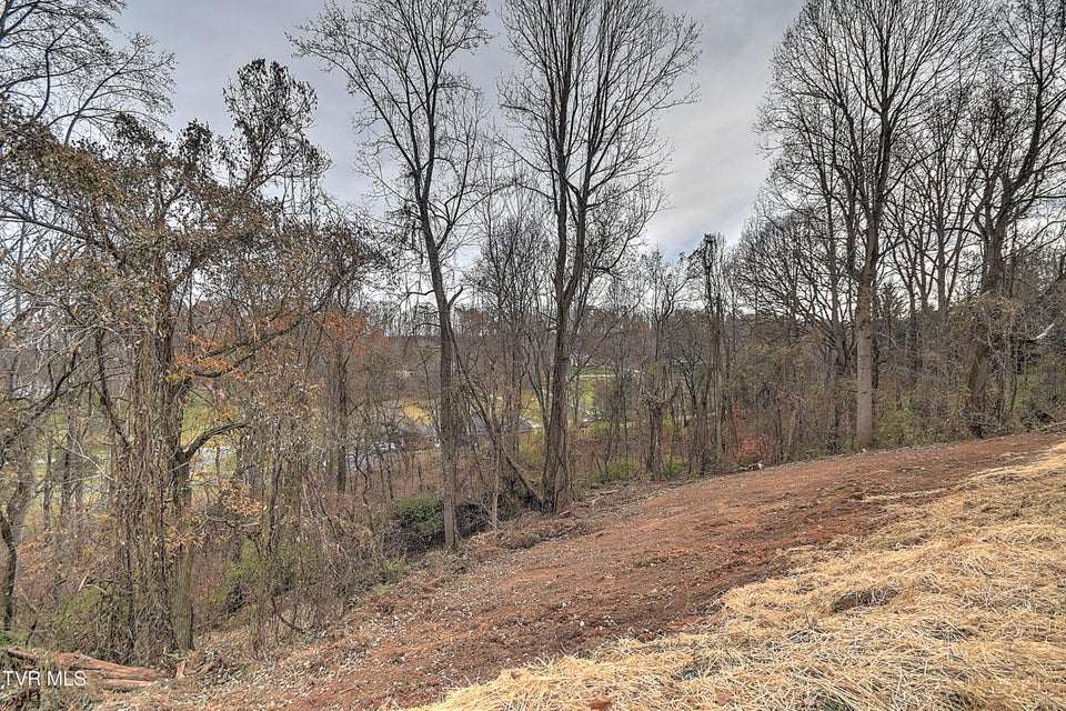 Photo #42: 457 Merman Road