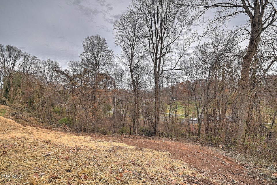 Photo #48: 457 Merman Road