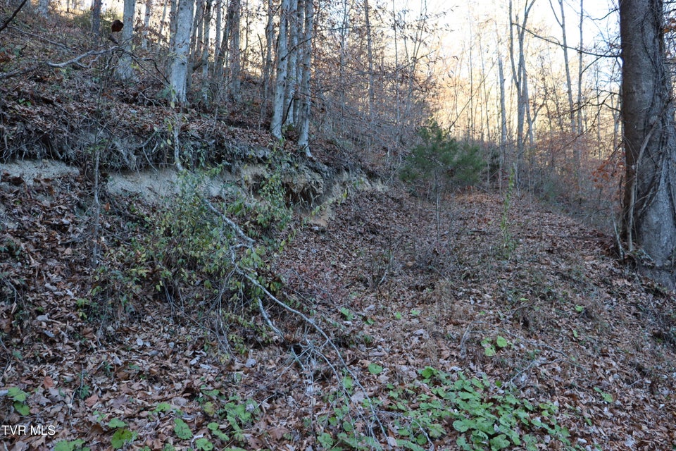 Photo #29: Tbd Sulphur Springs Road