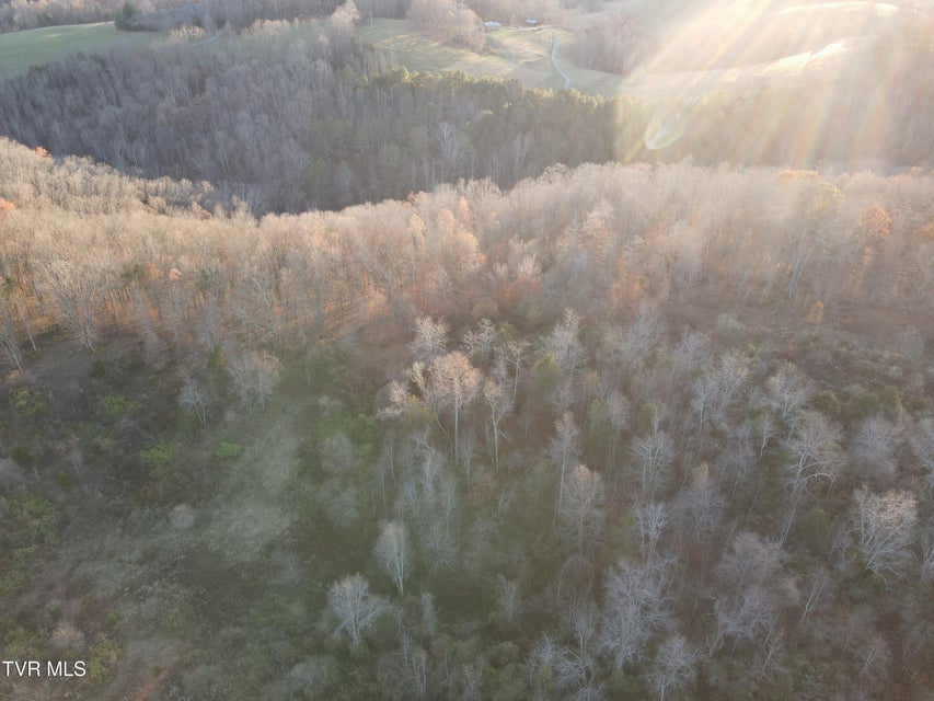 Photo #11: Tbd Sulphur Springs Road