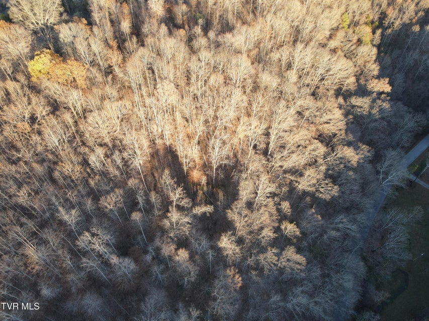 Photo #21: Tbd Sulphur Springs Road