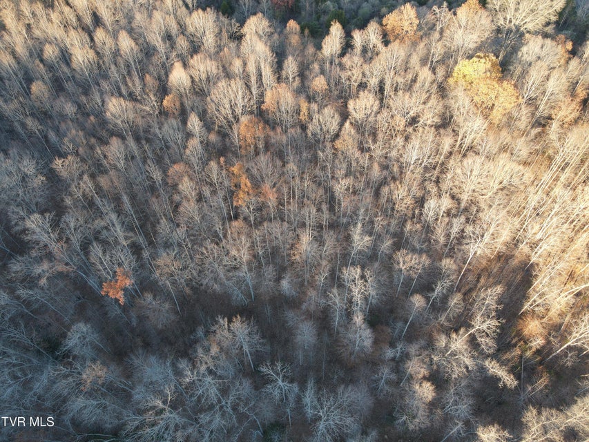 Photo #22: Tbd Sulphur Springs Road