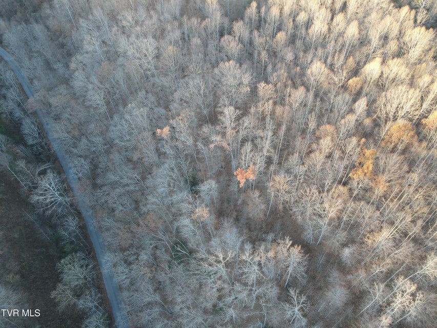 Photo #23: Tbd Sulphur Springs Road