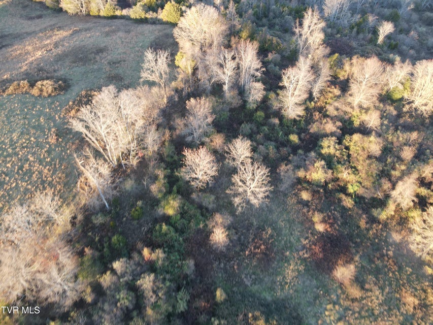 Photo #10: Tbd Sulphur Springs Road